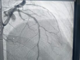 WhatsApp Image 2025-12-06 at 12.36.35 PM (2)